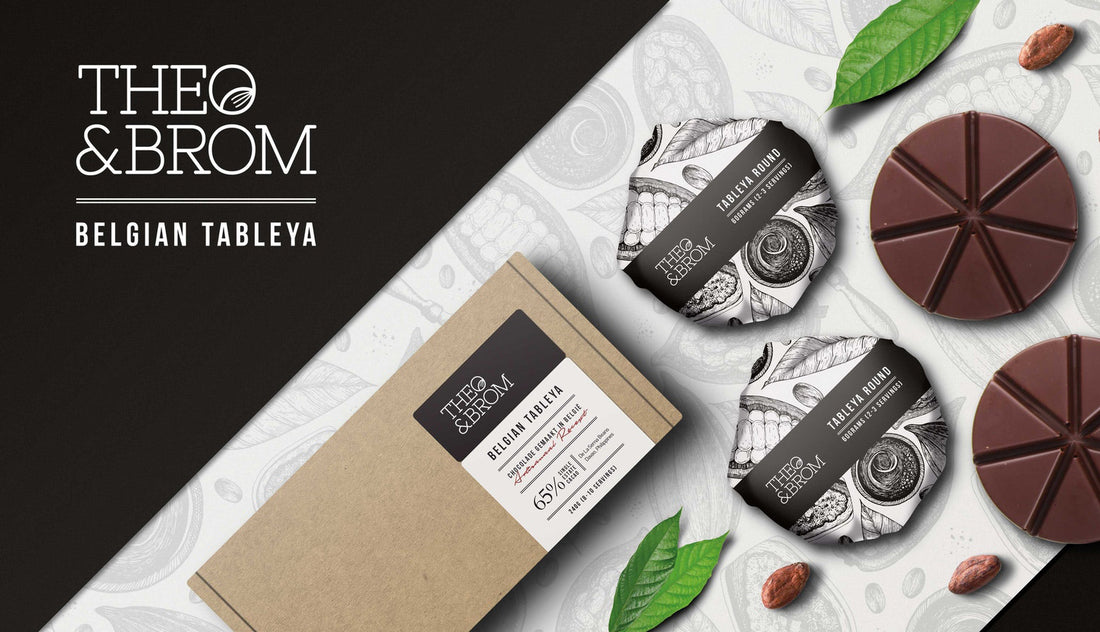 Theo & Brom's Origins: A Kickstarter Success