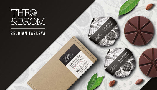 Theo & Brom's Origins: A Kickstarter Success
